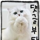 디알에어