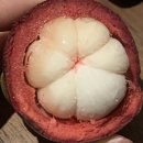 [호치민 무이네] 3박 5일 여행 2일차 (지프투어, 더아남, 반쎄오무이네, 로즈스파, 철판아이스크림...