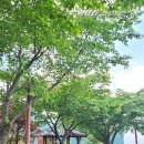 보현산 약초마을 이미지