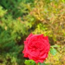 사랑병원매점