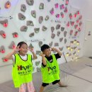 행복한 태권도장 이미지