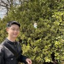 이디야커피 부천벚꽃마을점 | 서울 주말데이트 추천 &#34;어린이대공원&#34; 놀이기구, 동물원, 식물원 무료관람 (2025년 4월 벚꽃개화 실시간)