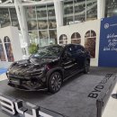 중앙카매니저 | 크리스마스 감성 가득한 BYD 하모니오토모빌 팝업스토어 정복기!