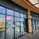 낮요가 | 삼송역 흐르다야 요가 임산부 요가 추천 솔직 후기