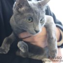 보라매웰종합동물병원 이미지