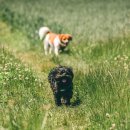 한국에너지공과대학교 이미지