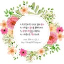 마이큐당구장 | [무료전시] 구슬모아당구장 MIKE 마이큐