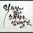 캘리그라피 이미지