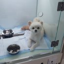 일광해빛동물병원 이미지