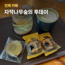 자작나무숲의투데이 | 인제 자작나무숲 카페 자작나무숲의 투데이 추천메뉴