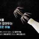 비다컴퍼니 이미지