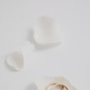 로스튜디오 이미지