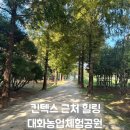 대화농업체험공원 | 대화농업체험공원 가볍게 한 바퀴 | 일산 주민의 포토 다이어리