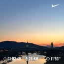 맥자동차공업 주식회사 | [공지] 계절이 지나간 일상 - 경칩(2026) | 하중도 금호꽃섬 탐험일지