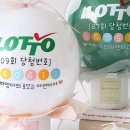 컴투펫주 | 구리 강아지 파양, 몰랐던 현실과 꿀팁 3가지 공개!