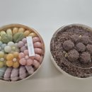 설희곳간 네이버블로그