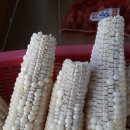 미석농장 이미지