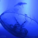 안경OK콘택트안경원 이미지