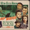 늪지의 물 (Swamp Water, 1941년) 장 르노아르 미국 연출 1호작 이미지