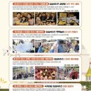 축제 | 2025 전북 임실N치즈 축제 후기 (주차, 먹거리, 체험 총정리)