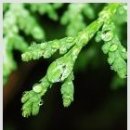 회화한의원 이미지