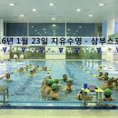 삼부스포렉스 이미지