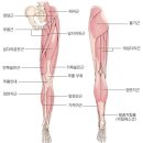 경희탄탄한의원 이미지