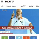 모디 (modi) 이미지