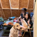 보다스테이 6호점(캠핑) 이미지