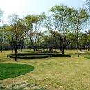 종합운동장(골프장) 이미지