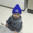 기주목장 | 🫧 생후 261~280일 : 한해의 마무리와 새로운 한해