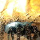 브리딩 팜 이미지