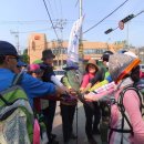 강화중성 이미지