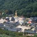 속리산 법주사 이미지