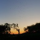 계류장 앞 이미지