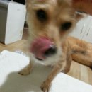 모카세탁소 이미지