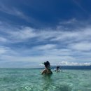 예스라이프 | 프리다이빙강습 예스다이빙 솔직 후기｜이색 취미 추천 송도잠수풀 주차 교통