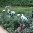 수고2리 경로당 이미지