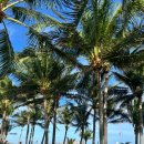 래드당구장 | 호치민사는 사람의 무이네 여행:: 판다누스리조트