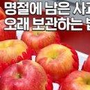 사과 보관법 오래보관 사과냉장보관 사과보관방법 이미지