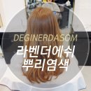 라벤더에쉬 이미지