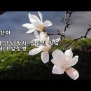 엄정행 - 목련화 이미지