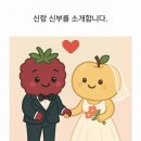 칵테일처럼 달달한 멜로맛술♡ 복받은부라더 홍연 보해양조 신상 후기!