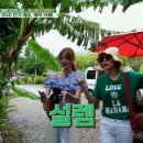 코너트립