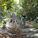 영농조합법인 공룡마을 이미지