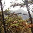 앵남리보건진료소 이미지