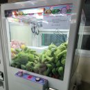 토이즈팝(Toys Pop) 이미지