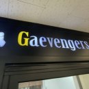 개벤져스(Gaevengers) 이미지
