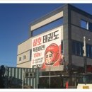 삼호(태권도) 이미지