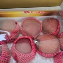 거창푸드종합센타 | 거창푸드종합센터 거창사과 금사과 산 후기